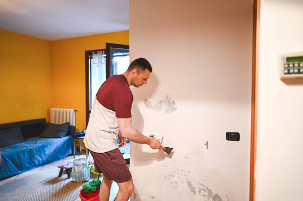Best Fast Mold Removal  in Alsip, IL